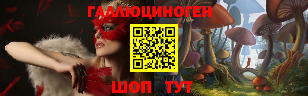 Камышлов  Псилоцибиновые грибы мухоморы  наркошоп  Галлюциногенные грибы мицелий  Вход с VPN 